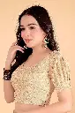 CHIKOO (2) (1).webp